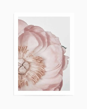 Framed art print of a close-up peony flower rendered in soft watercolor. The peony features layered petals in dusty rose and blush pink tones that gradually fade to cream and white toward the center. Golden-tan stamens are visible in the lower left. The composition is cropped to show the flower at an intimate scale against a pale gray background. The print is presented in a white frame with a white border, mounted on a light gray wall.