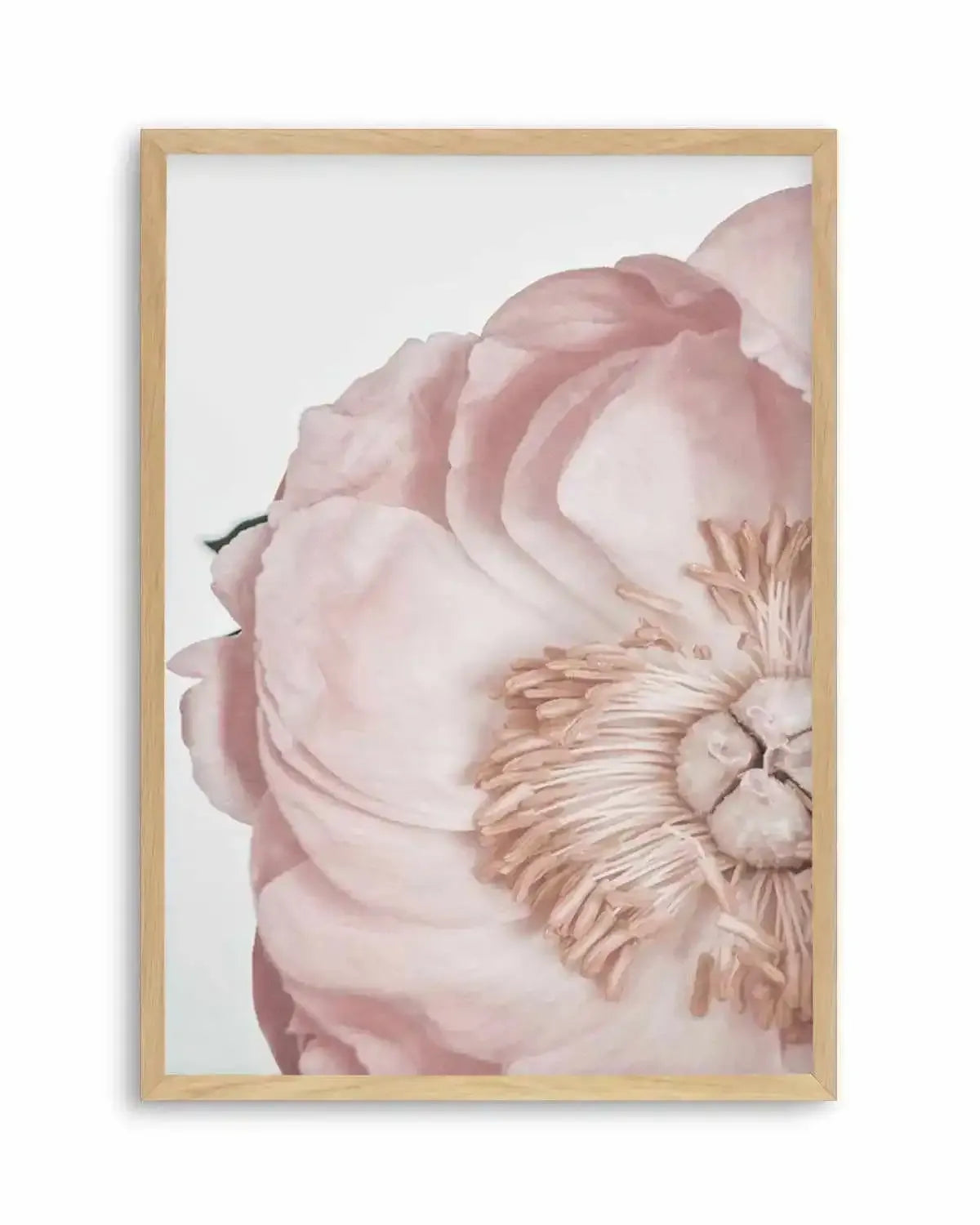 Peony Parfait II Art Print from Olive et Oriel where you can shop wallpaper and artworks online