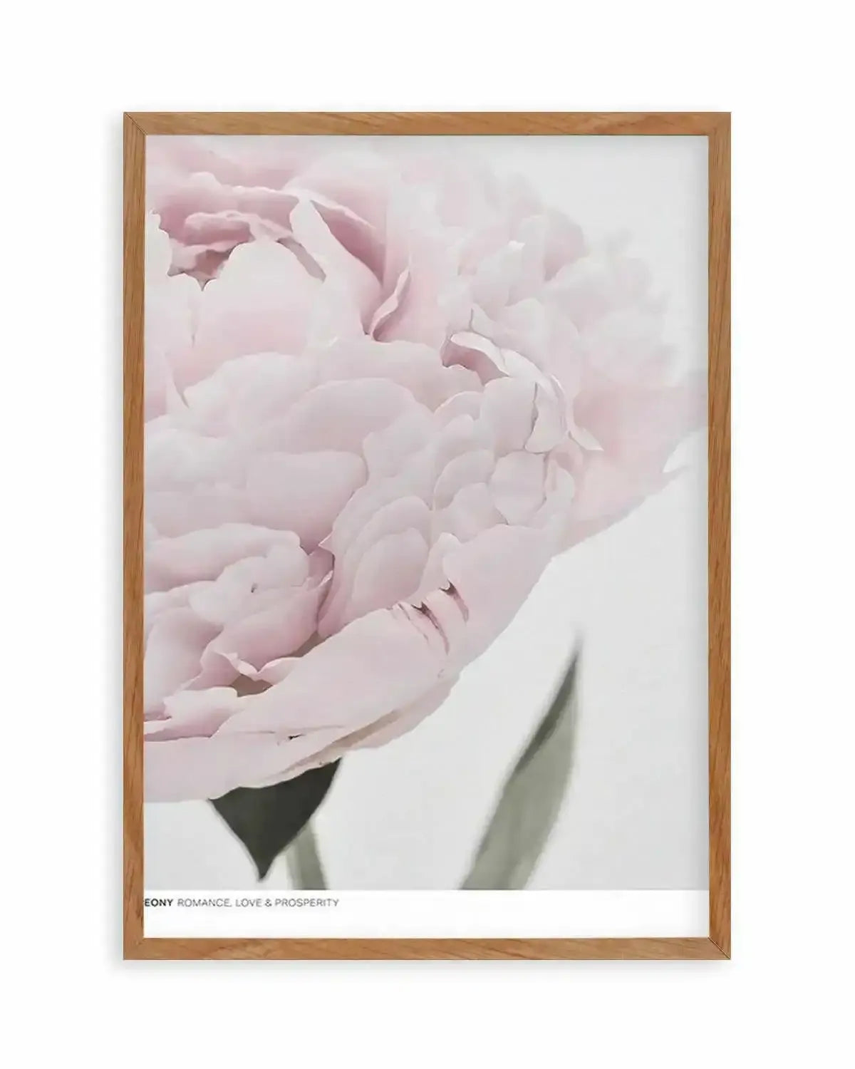 Peony | Love, Romance, Prosperity Art Print from Olive et Oriel where you can shop wallpaper and artworks online