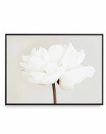 Peony XI By Studio III | Framed Canvas Art Print