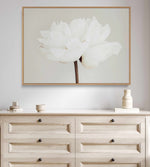 Peony XI By Studio III | Framed Canvas Art Print