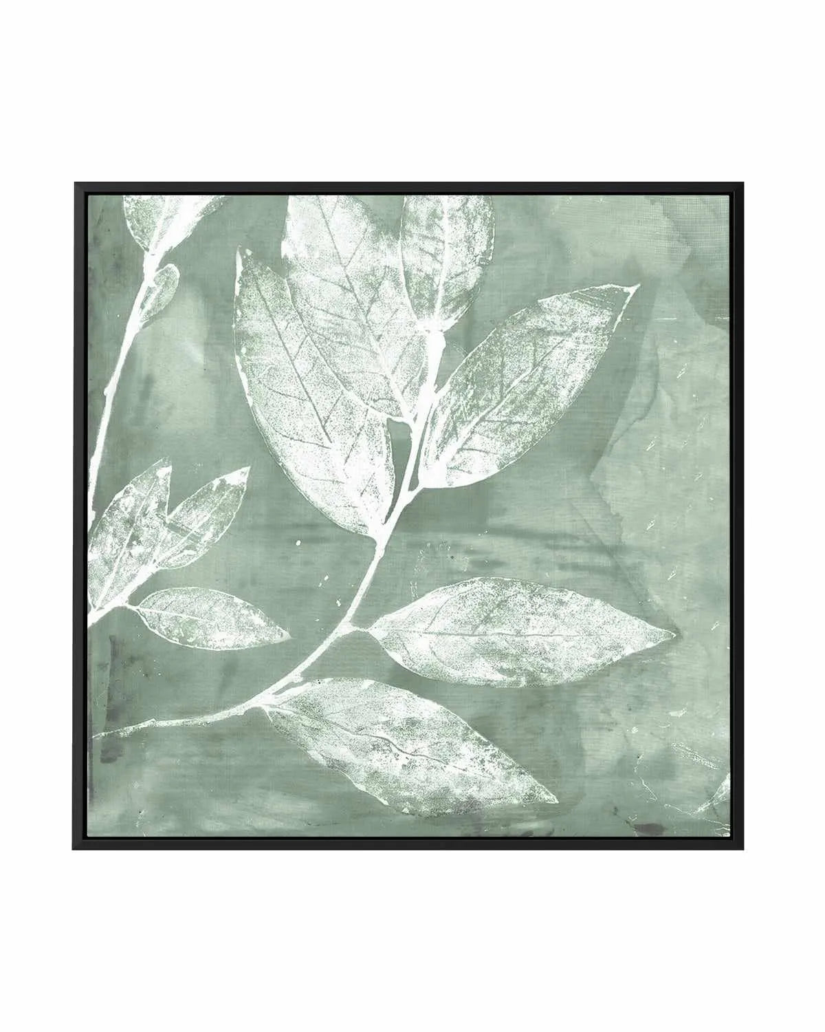 Petal Imprint I Sage | Framed Canvas Art Print from Olive et Oriel where you can shop wallpaper and artworks online