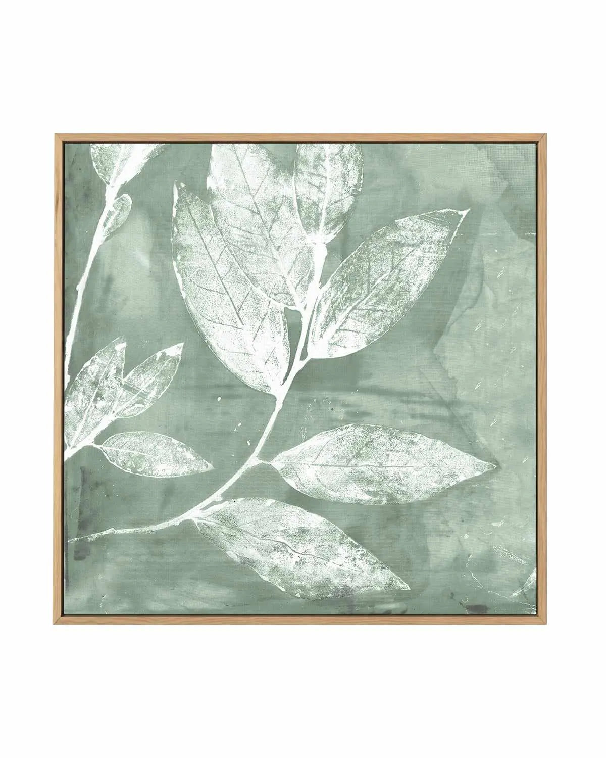 Petal Imprint I Sage | Framed Canvas Art Print from Olive et Oriel where you can shop wallpaper and artworks online