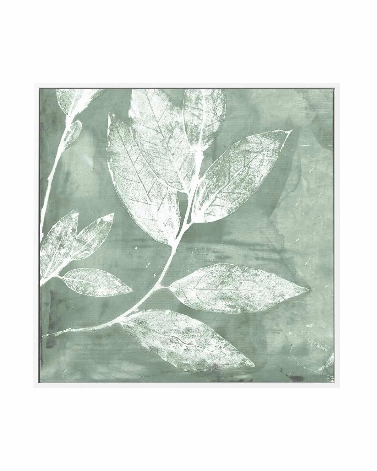 Petal Imprint I Sage | Framed Canvas Art Print from Olive et Oriel where you can shop wallpaper and artworks online
