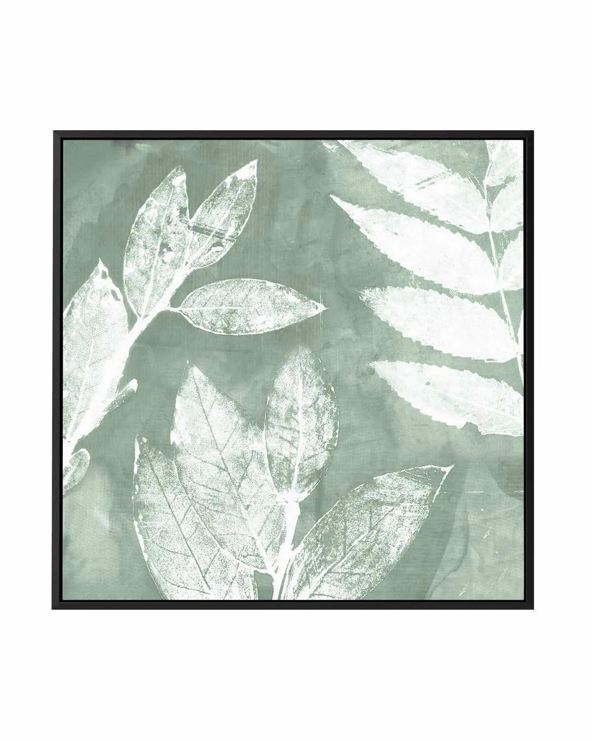 Petal Imprint II Sage | Framed Canvas Art Print from Olive et Oriel where you can shop wallpaper and artworks online