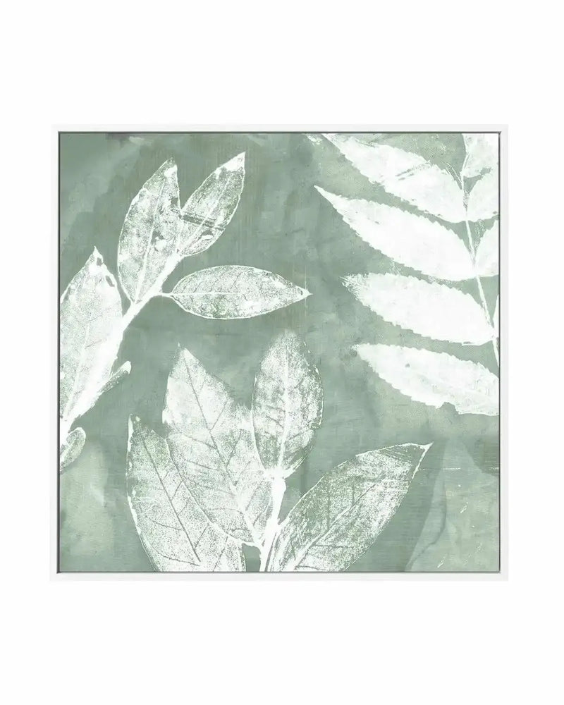 Petal Imprint II Sage | Framed Canvas Art Print from Olive et Oriel where you can shop wallpaper and artworks online