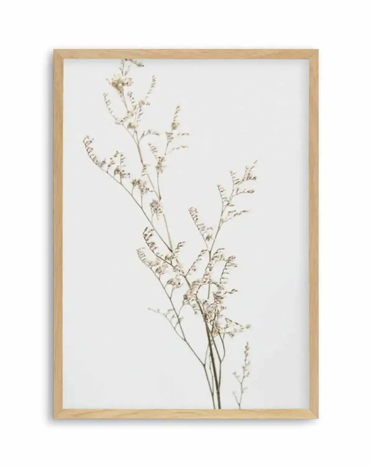 Petite Fleur Art Print from Olive et Oriel where you can shop wallpaper and artworks online