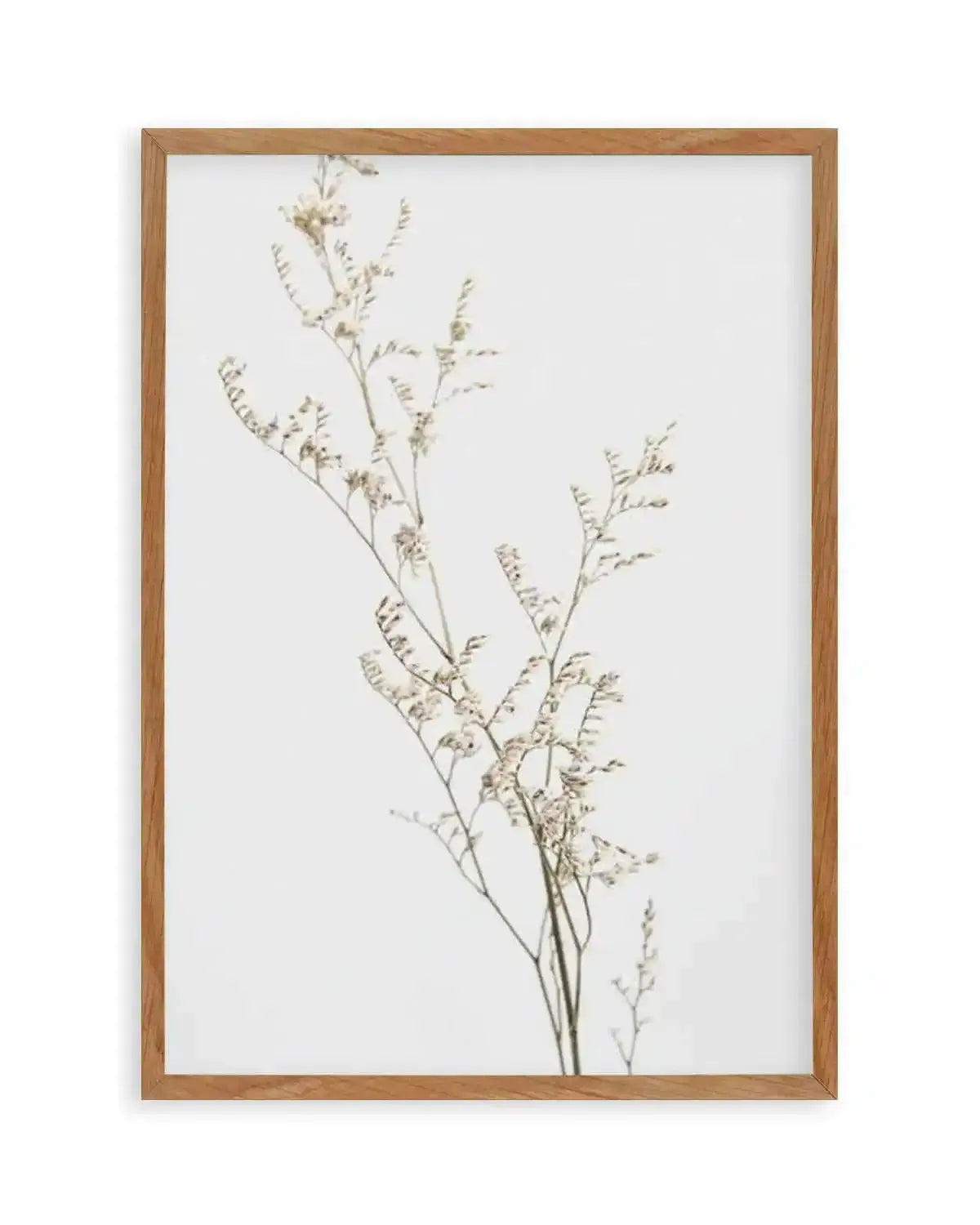 Petite Fleur Art Print from Olive et Oriel where you can shop wallpaper and artworks online