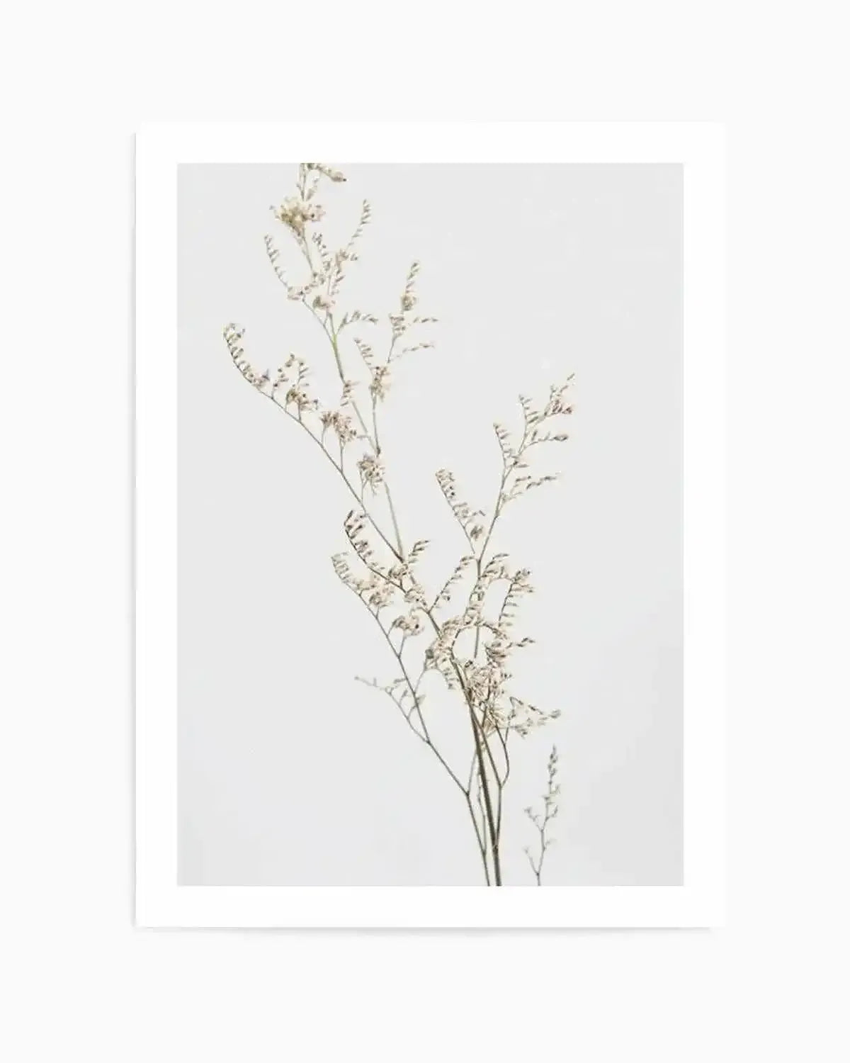 Petite Fleur Art Print from Olive et Oriel where you can shop wallpaper and artworks online