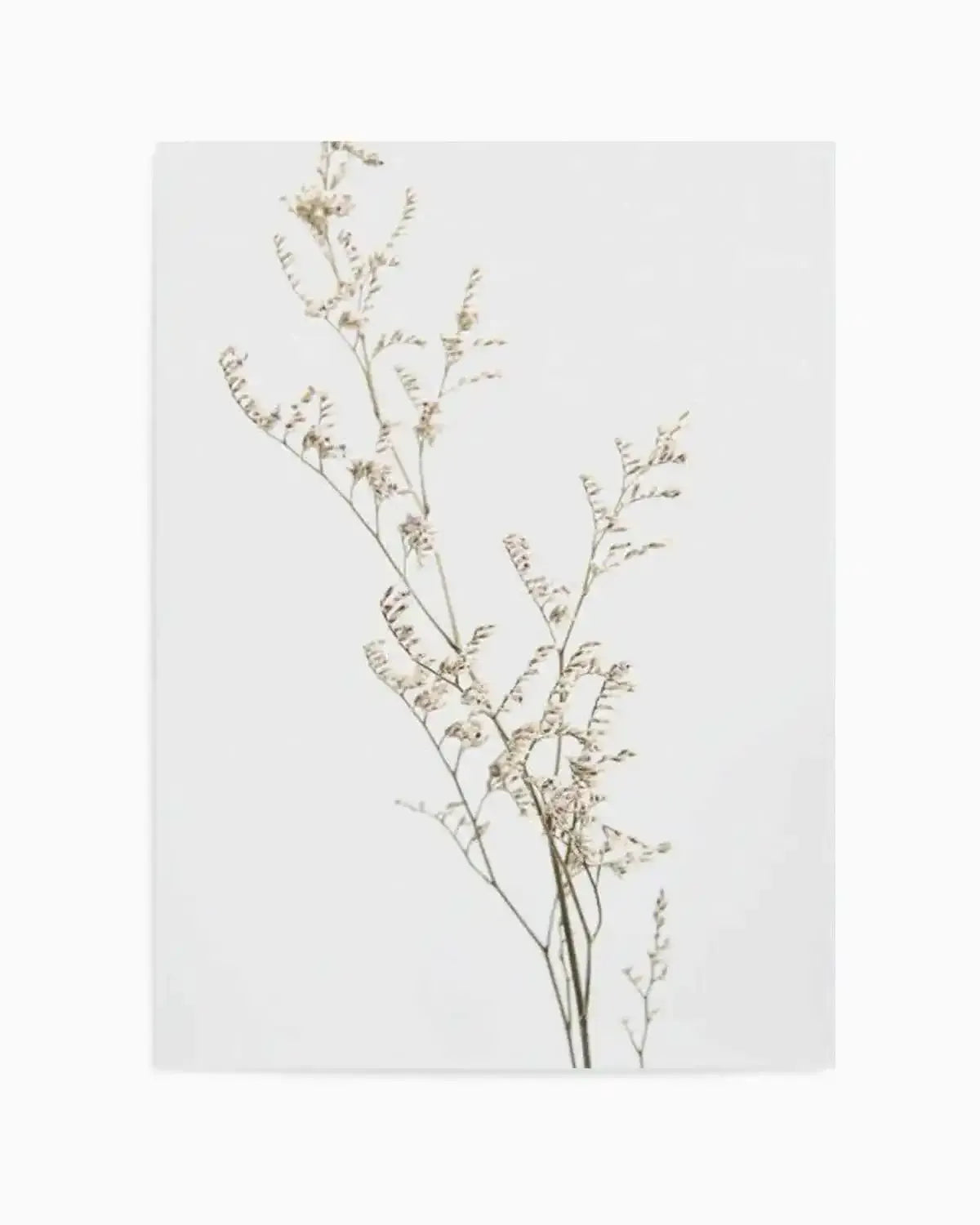Petite Fleur Art Print from Olive et Oriel where you can shop wallpaper and artworks online