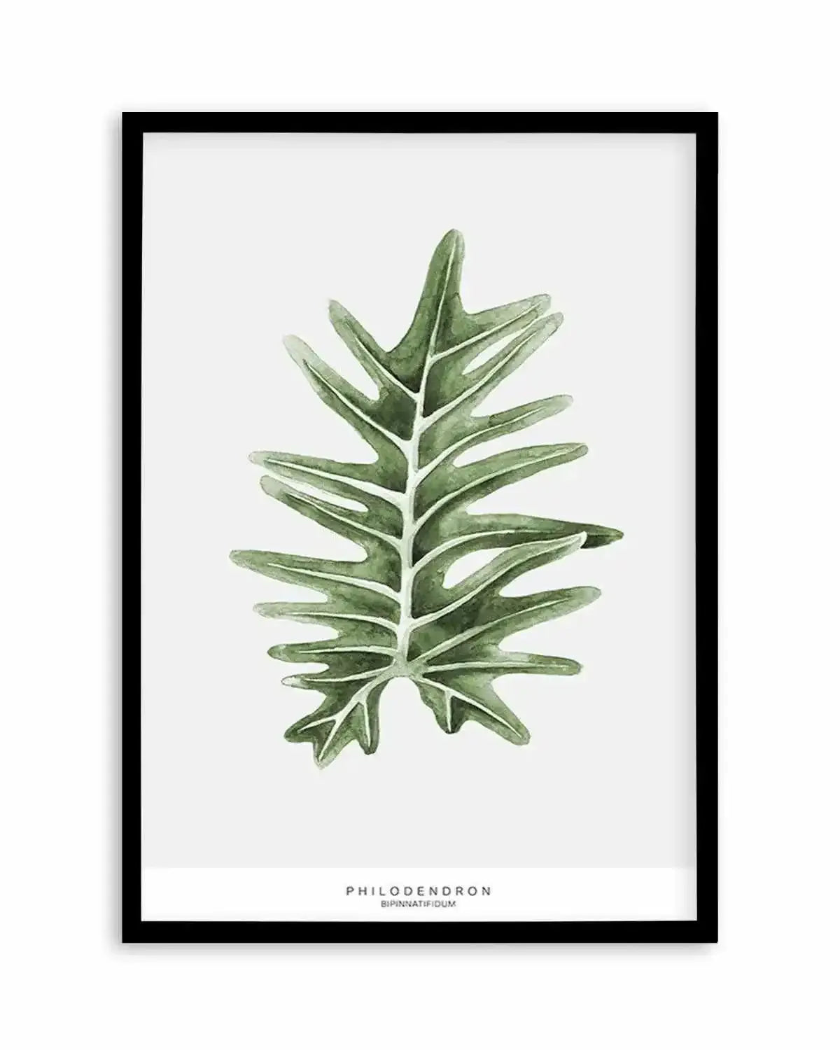 Philodenron Palm Art Print from Olive et Oriel where you can shop wallpaper and artworks online