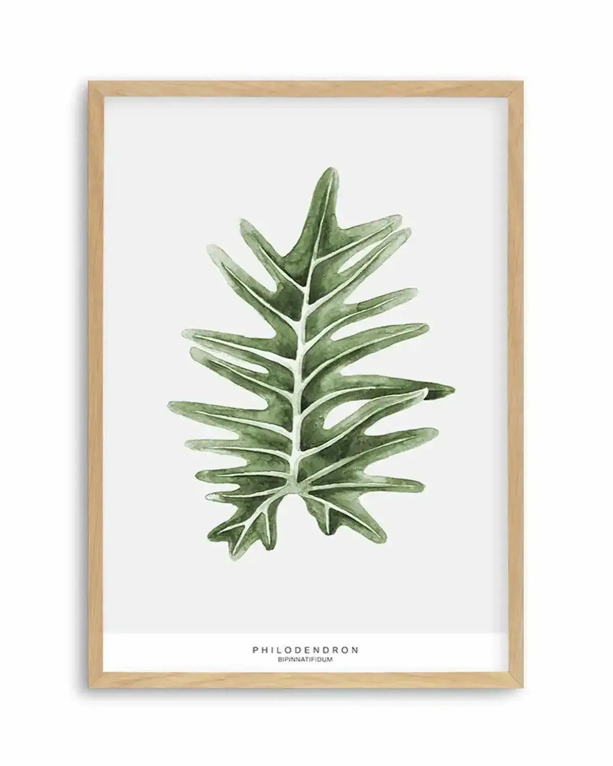 Philodenron Palm Art Print from Olive et Oriel where you can shop wallpaper and artworks online
