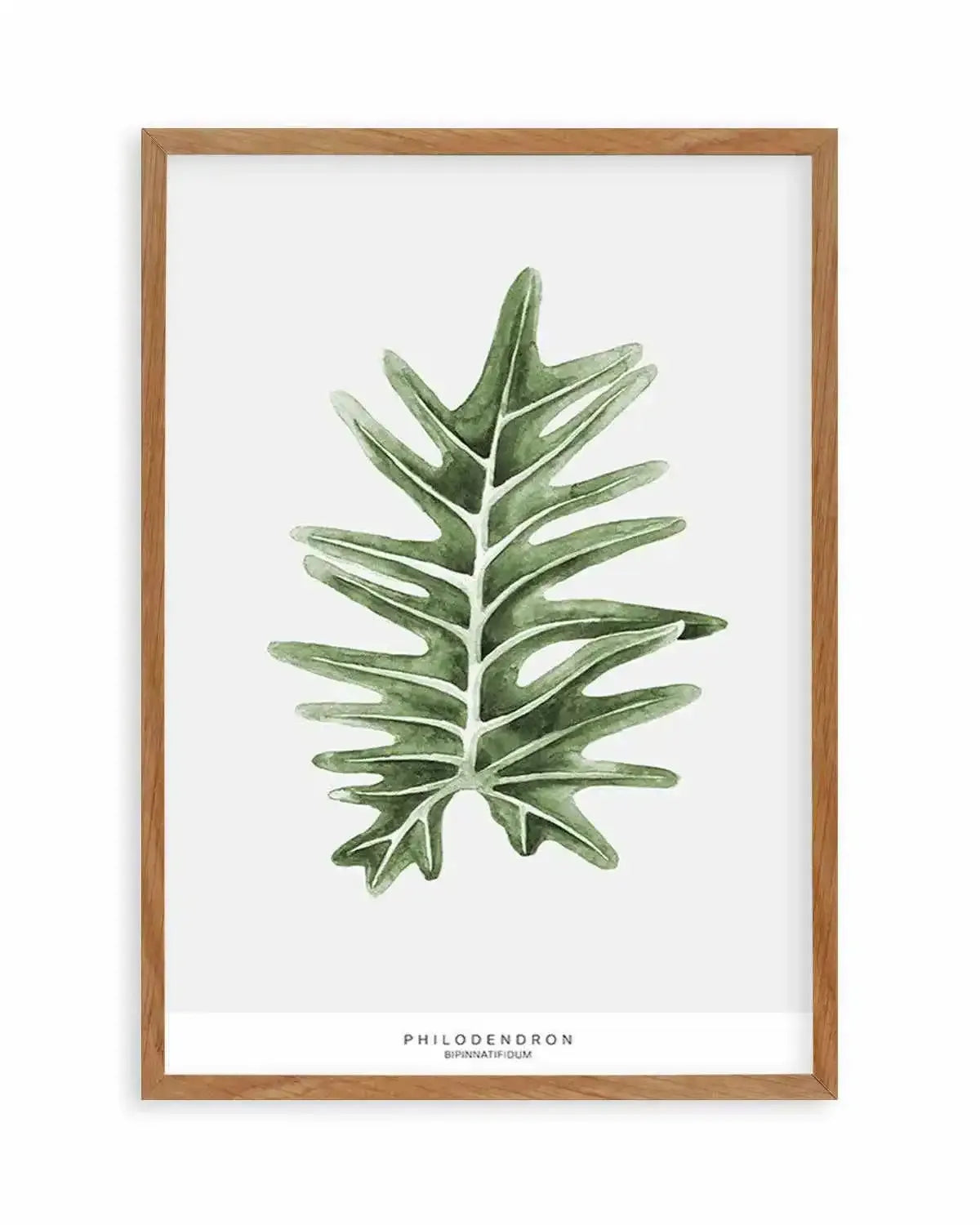 Philodenron Palm Art Print from Olive et Oriel where you can shop wallpaper and artworks online