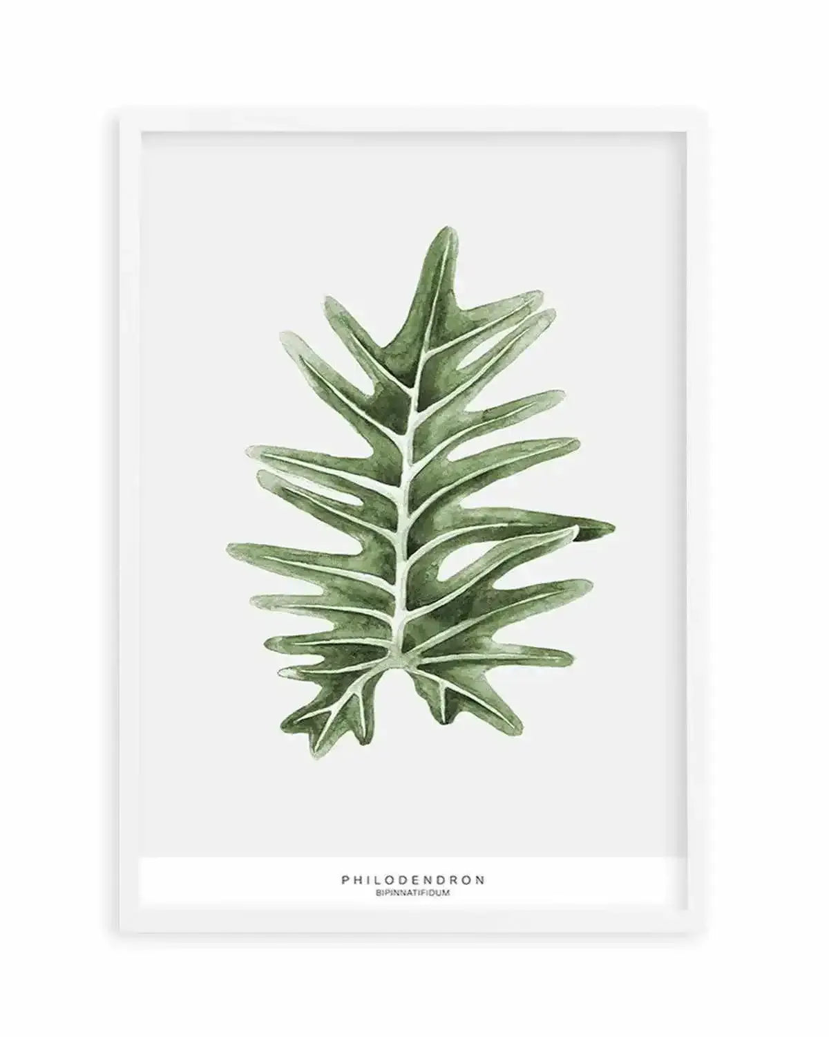 Philodenron Palm Art Print from Olive et Oriel where you can shop wallpaper and artworks online