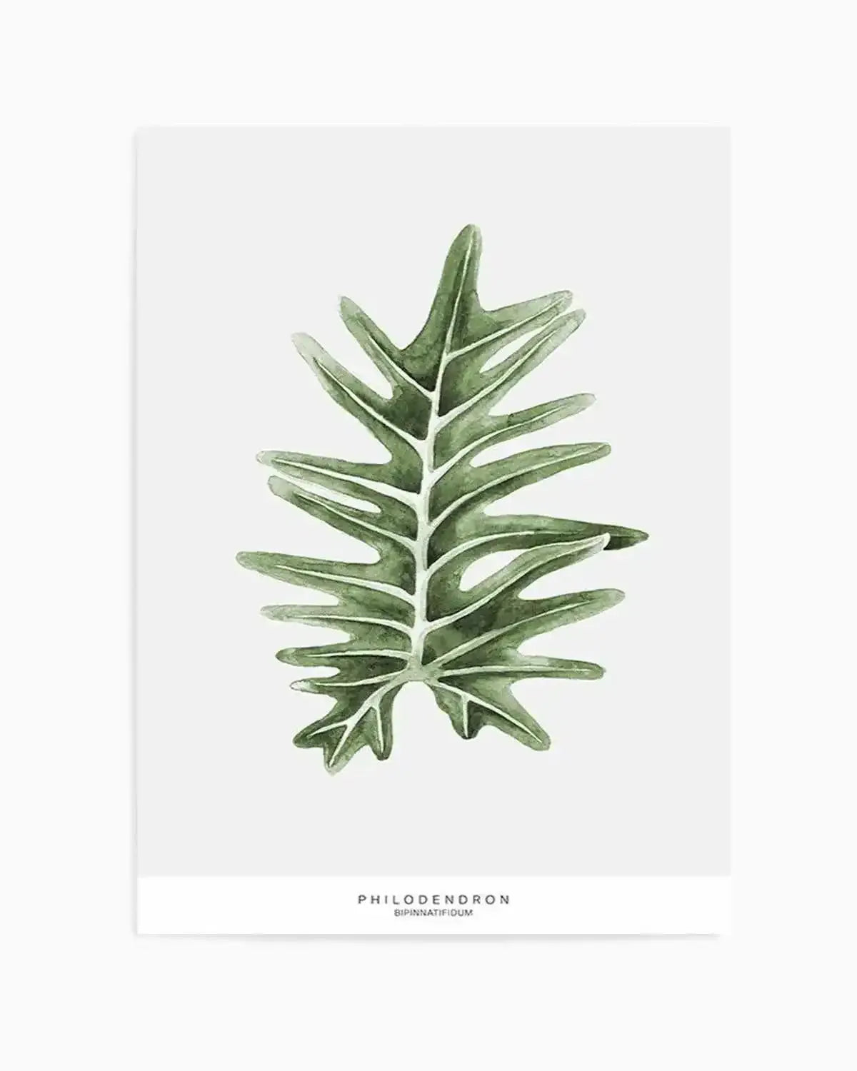 Philodenron Palm Art Print from Olive et Oriel where you can shop wallpaper and artworks online