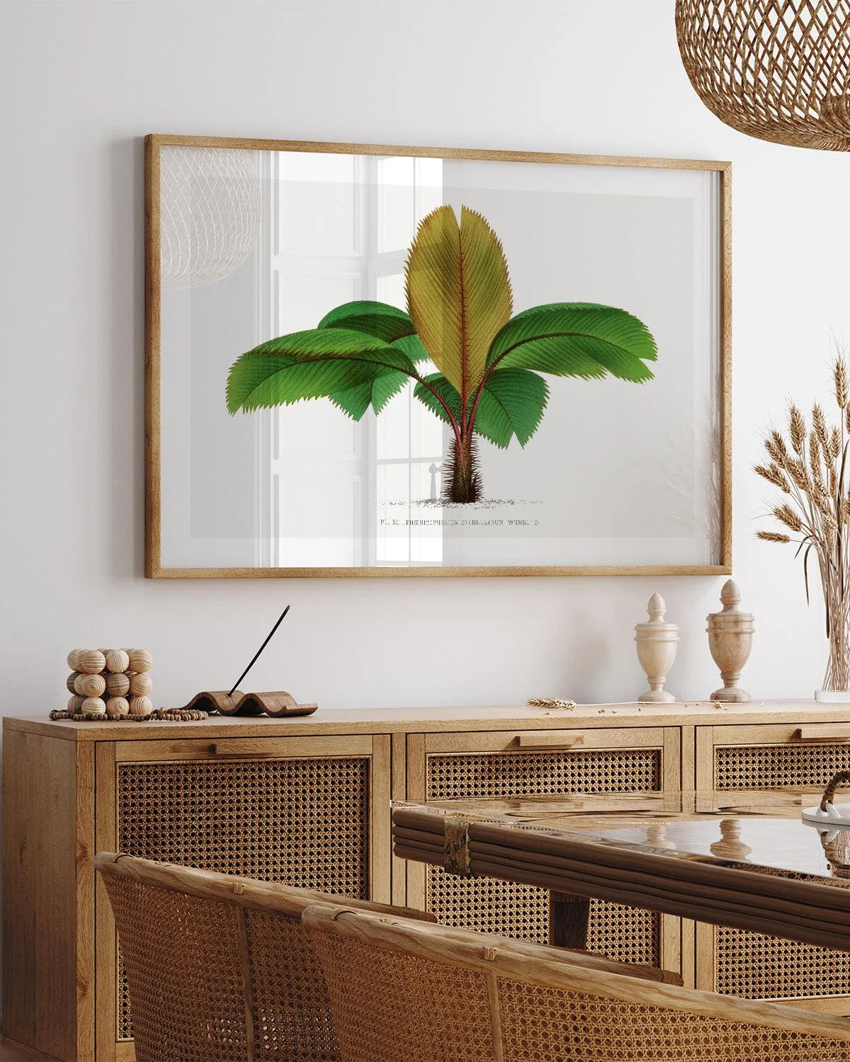 Phoenicophorium Sechellarum Vintage Palm Poster Art Print from Olive et Oriel where you can shop wallpaper and artworks online