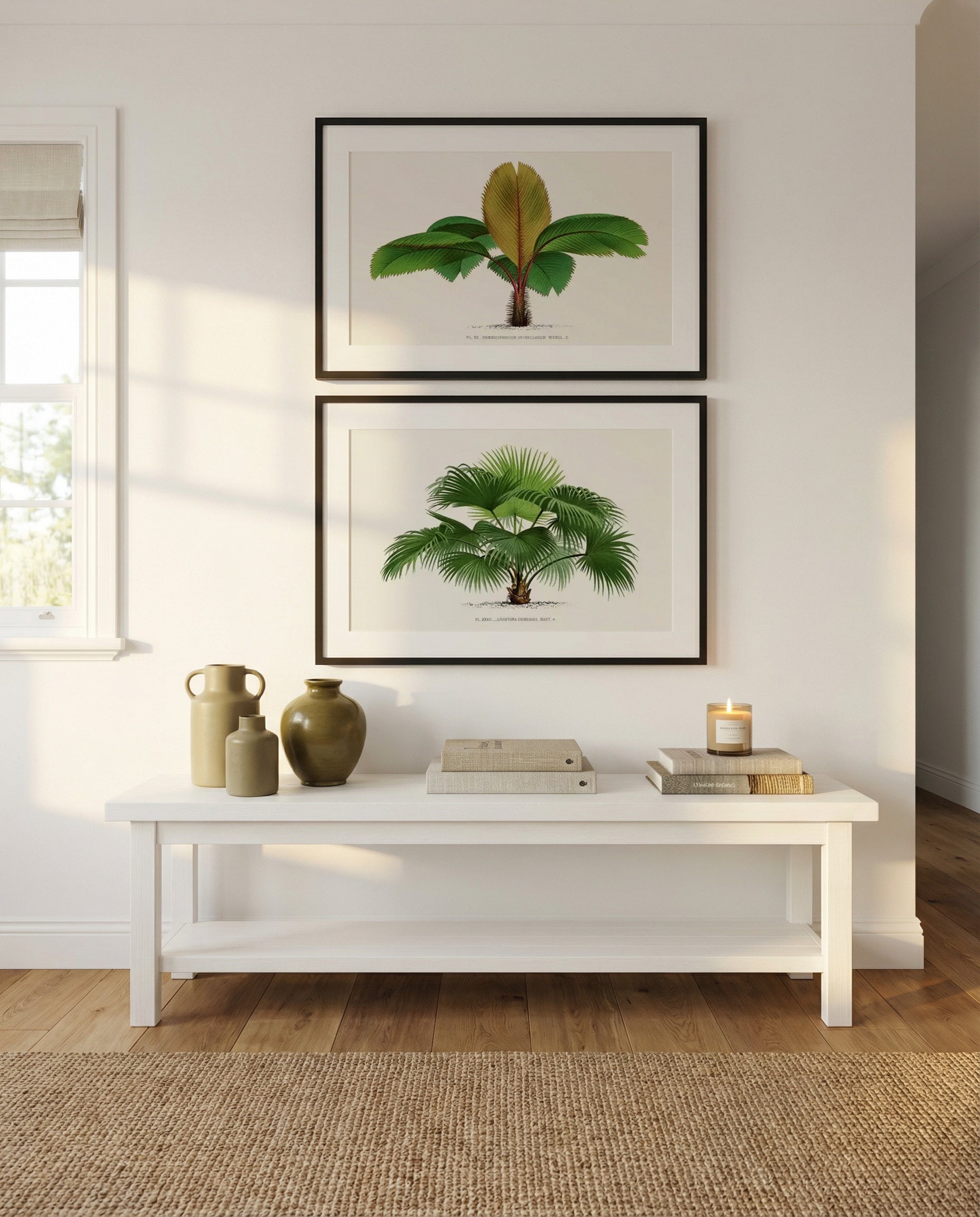 Phoenicophorium Sechellarum & Livistona Chinensis Vintage Palm Poster Art Print Set of 2 | Matching Wall Art