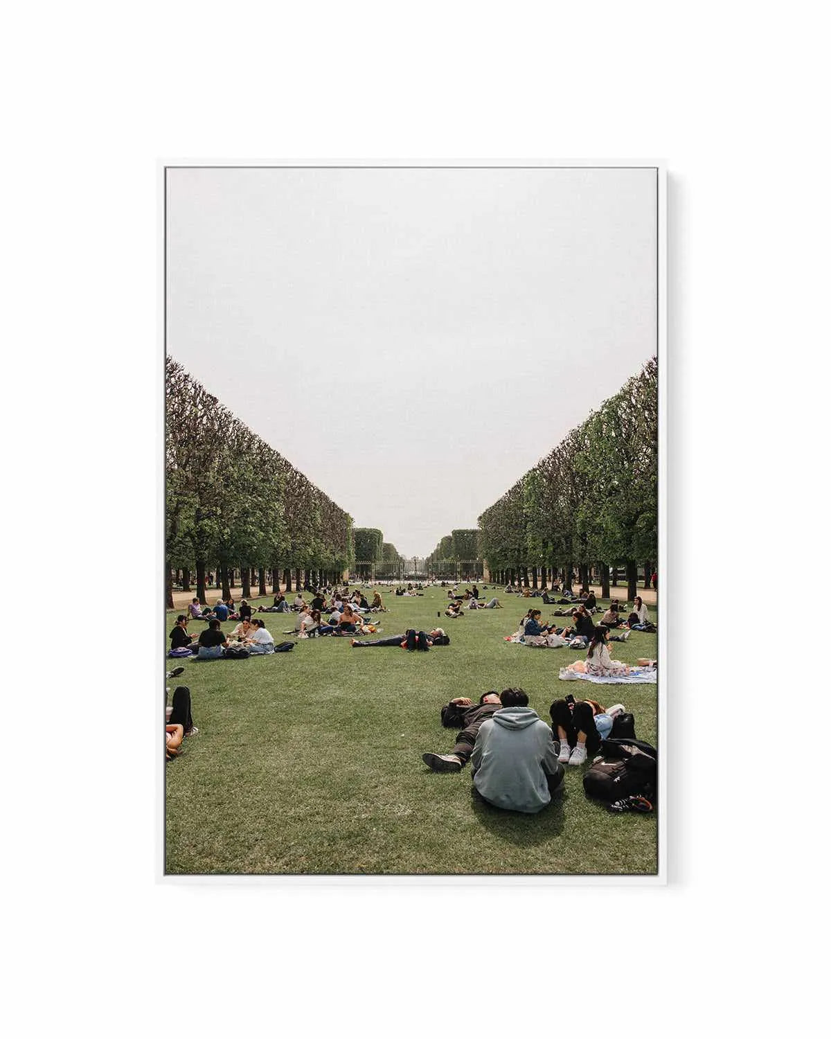 Picnics in Paris by Jovani Demetrie | Framed Canvas Art Print from Olive et Oriel where you can shop wallpaper and artworks online