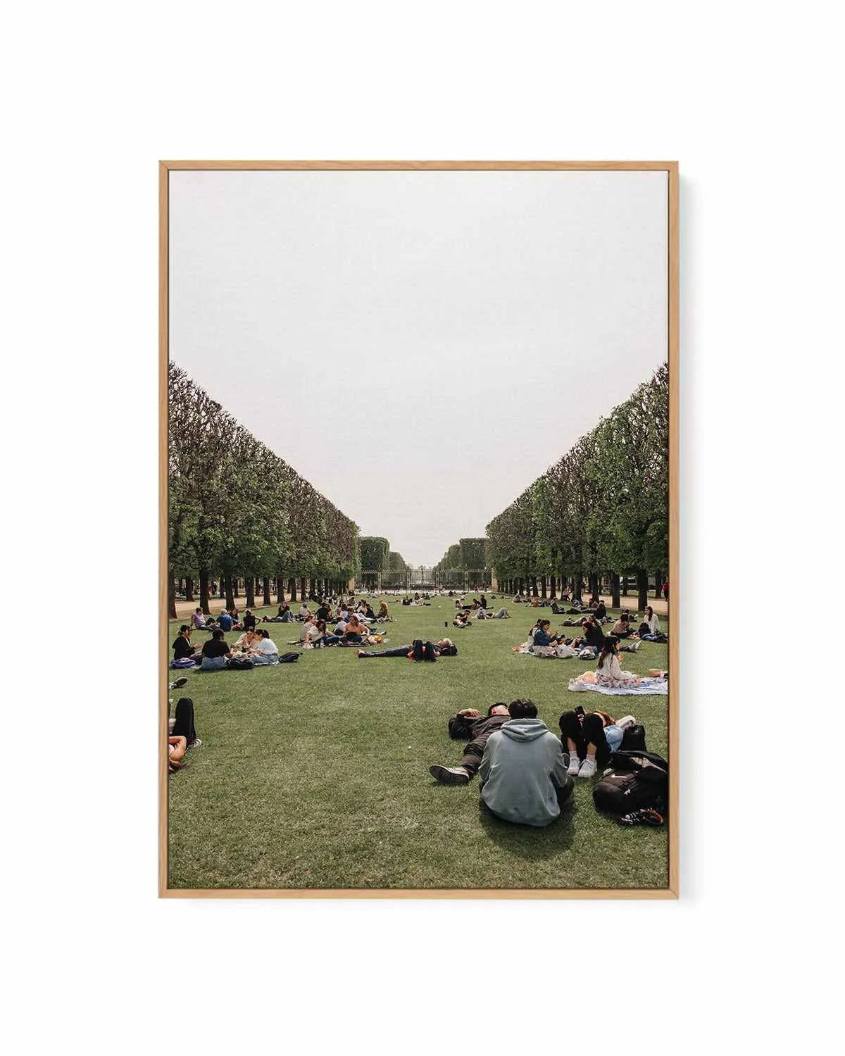 Picnics in Paris by Jovani Demetrie | Framed Canvas Art Print from Olive et Oriel where you can shop wallpaper and artworks online