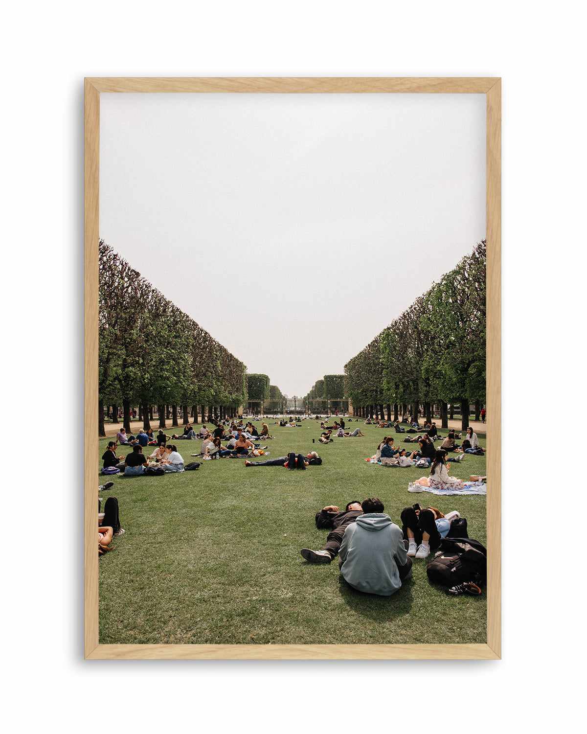 Picnics in Paris by Jovani Demetrie Art Print