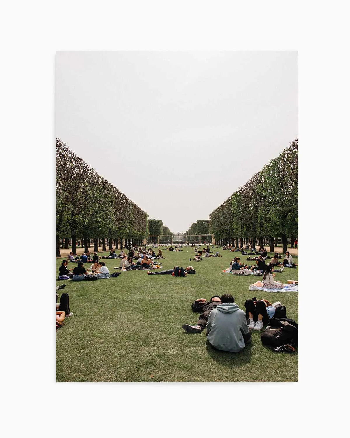 Picnics in Paris by Jovani Demetrie Art Print from Olive et Oriel where you can shop wallpaper and artworks online