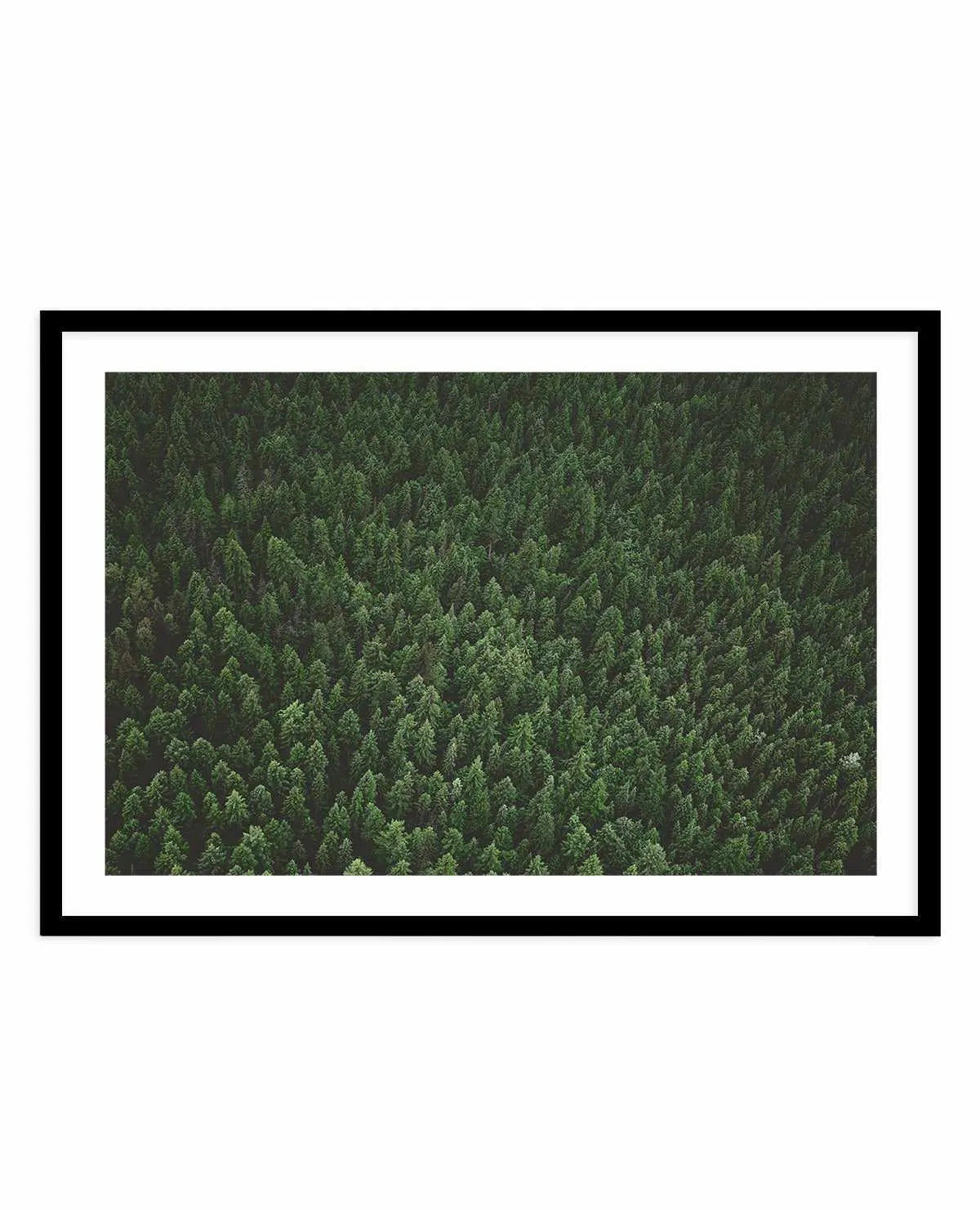Pine Forest by Kalen X | Art Print from Olive et Oriel where you can shop wallpaper and artworks online