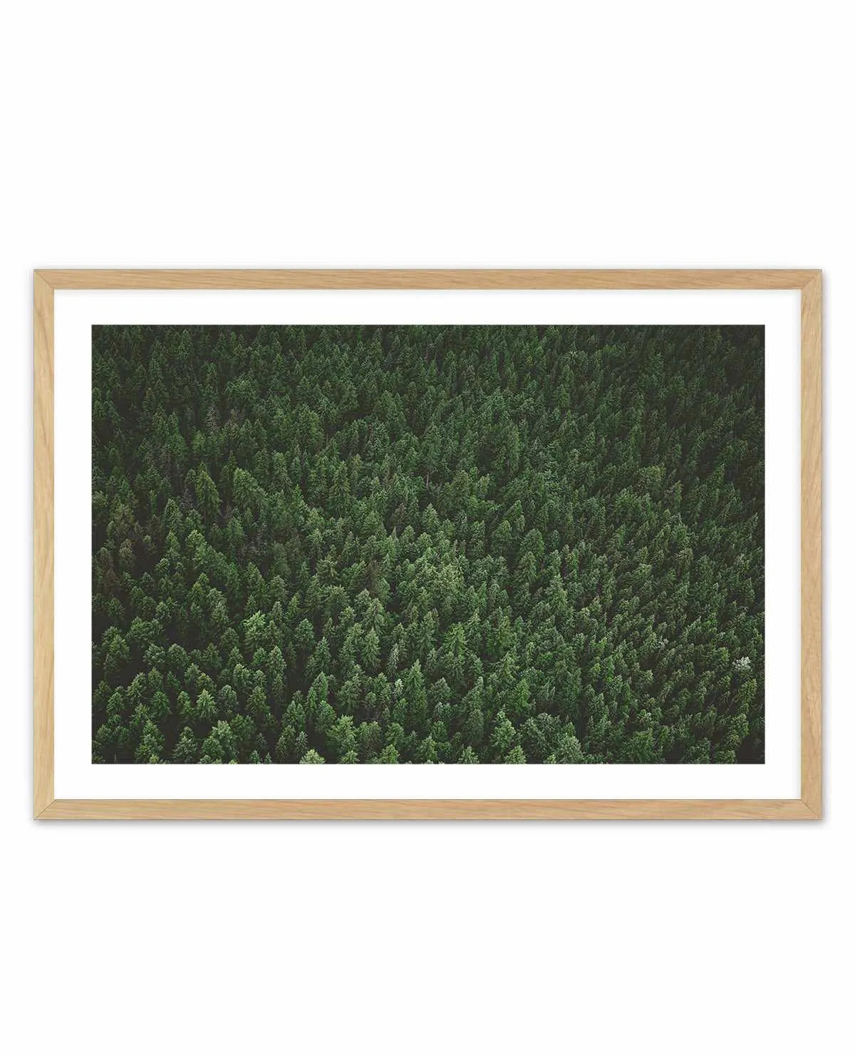 Pine Forest by Kalen X | Art Print from Olive et Oriel where you can shop wallpaper and artworks online