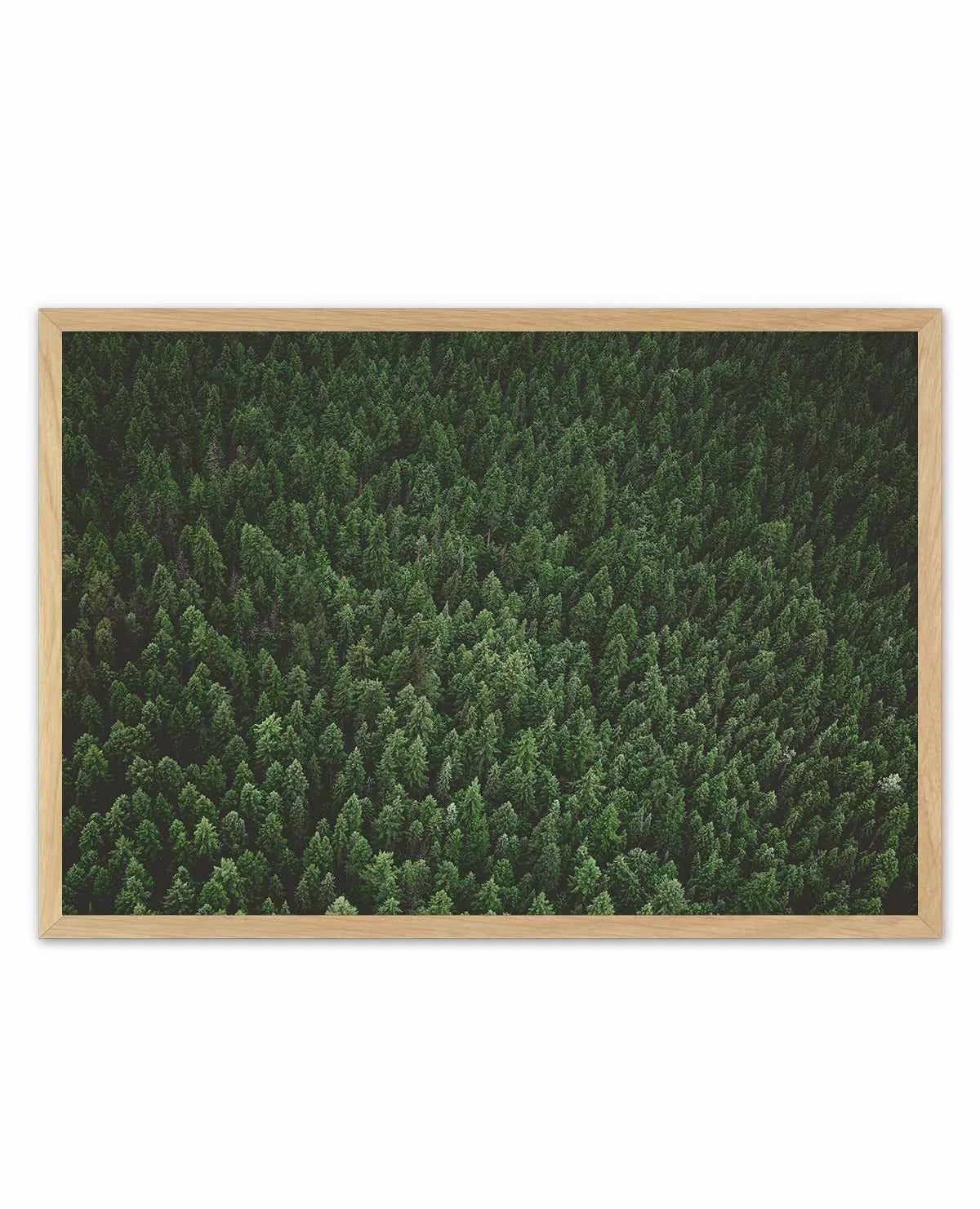 Pine Forest by Kalen X | Art Print from Olive et Oriel where you can shop wallpaper and artworks online