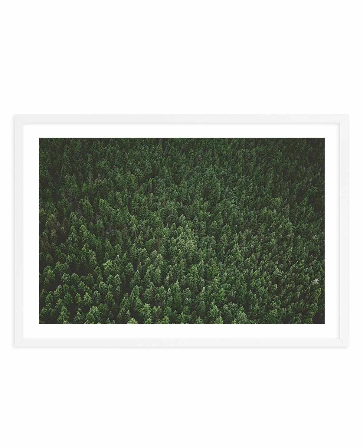 Pine Forest by Kalen X | Art Print from Olive et Oriel where you can shop wallpaper and artworks online