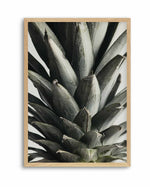 Pineapple Close Up By Studio III  | Art Print
