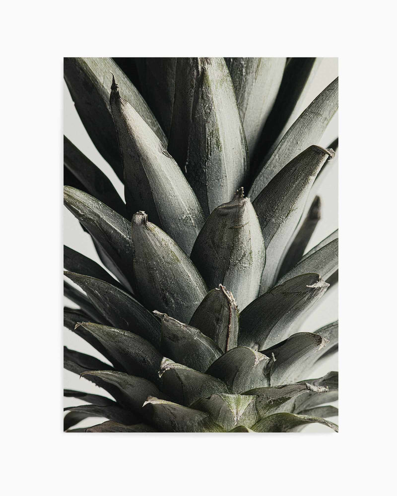 Pineapple Close Up By Studio III  | Art Print