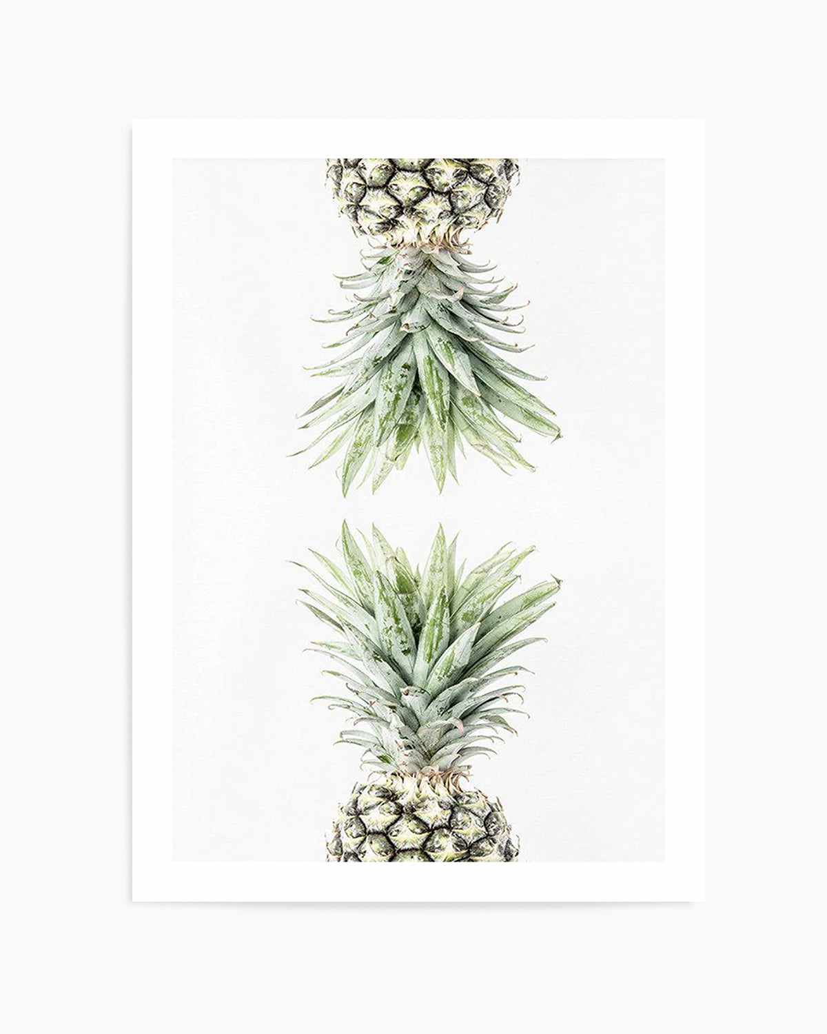 Pineapple I Art Print