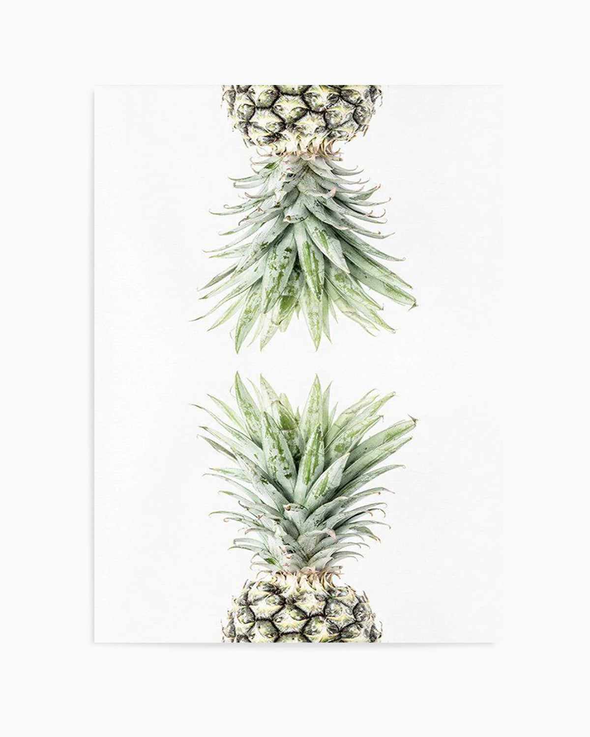 Pineapple I Art Print