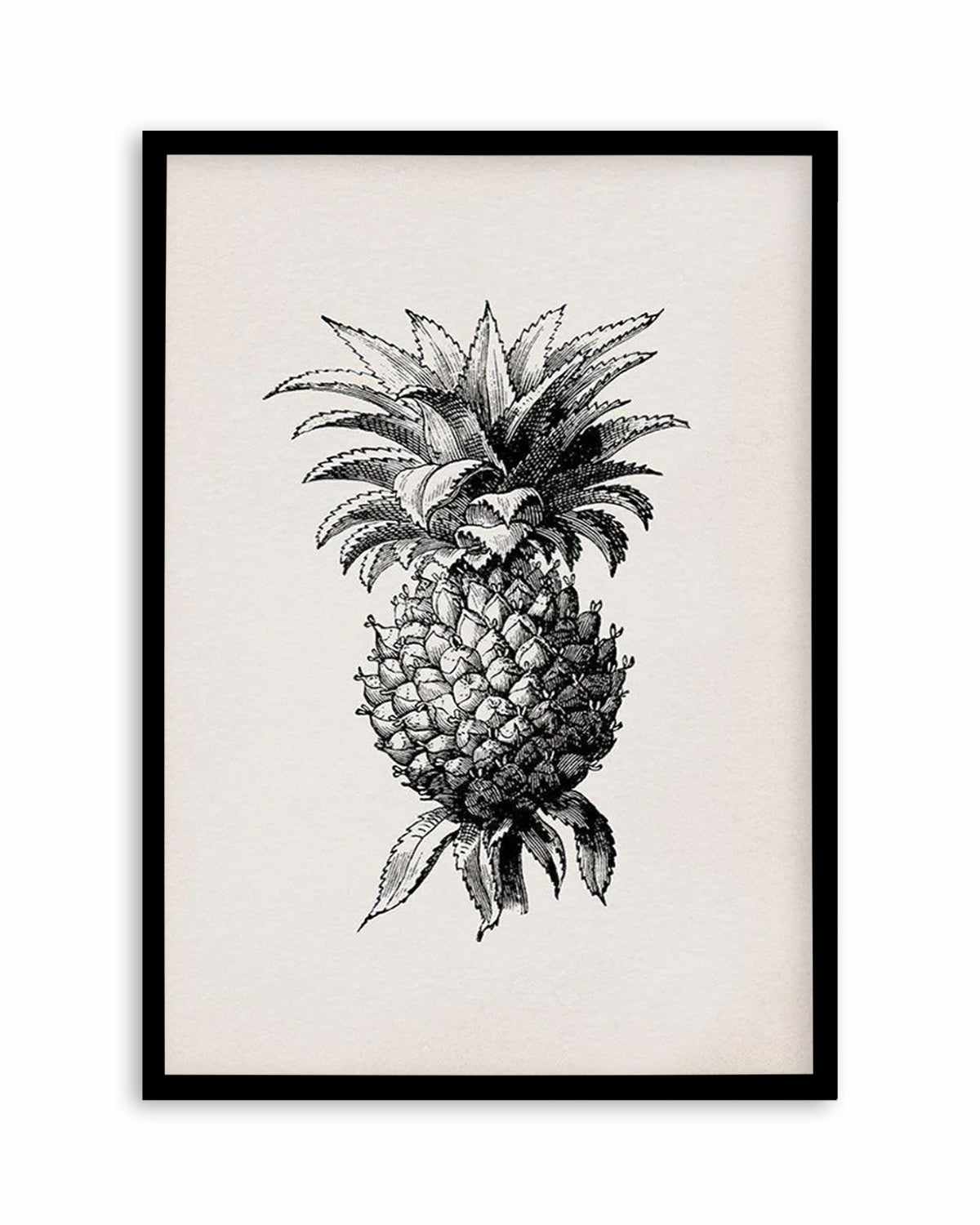 Pineapple Illustration Art Print