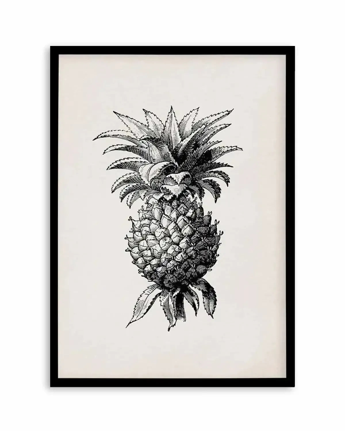Pineapple Illustration Art Print from Olive et Oriel where you can shop wallpaper and artworks online
