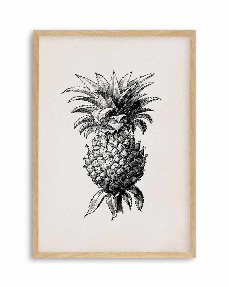 Pineapple Illustration Art Print