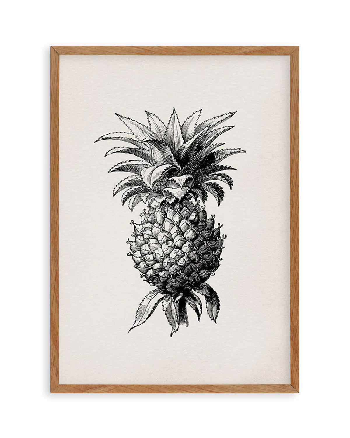 Pineapple Illustration Art Print