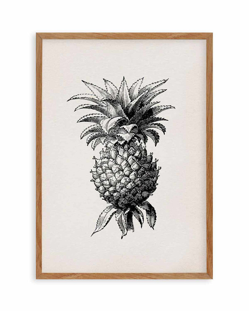 Pineapple Digital art Drawing, pineapple, food, art Exhibition png | PNGEgg