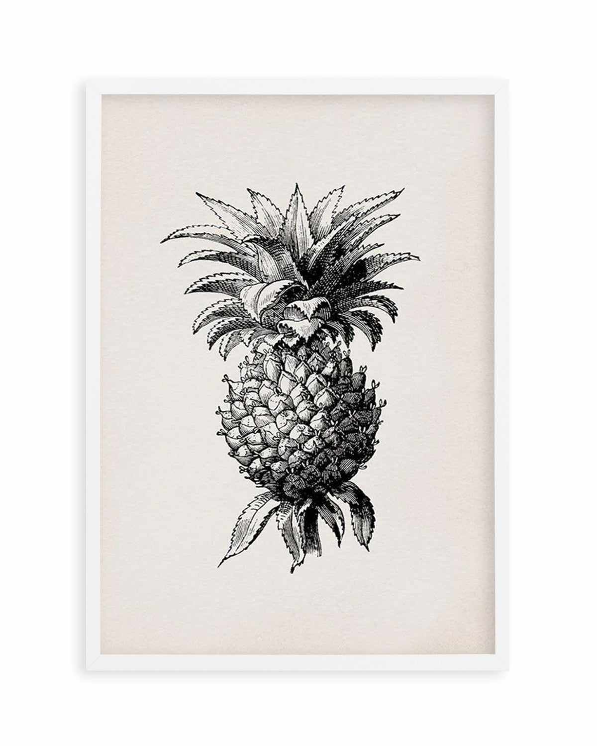 Pineapple Illustration Art Print