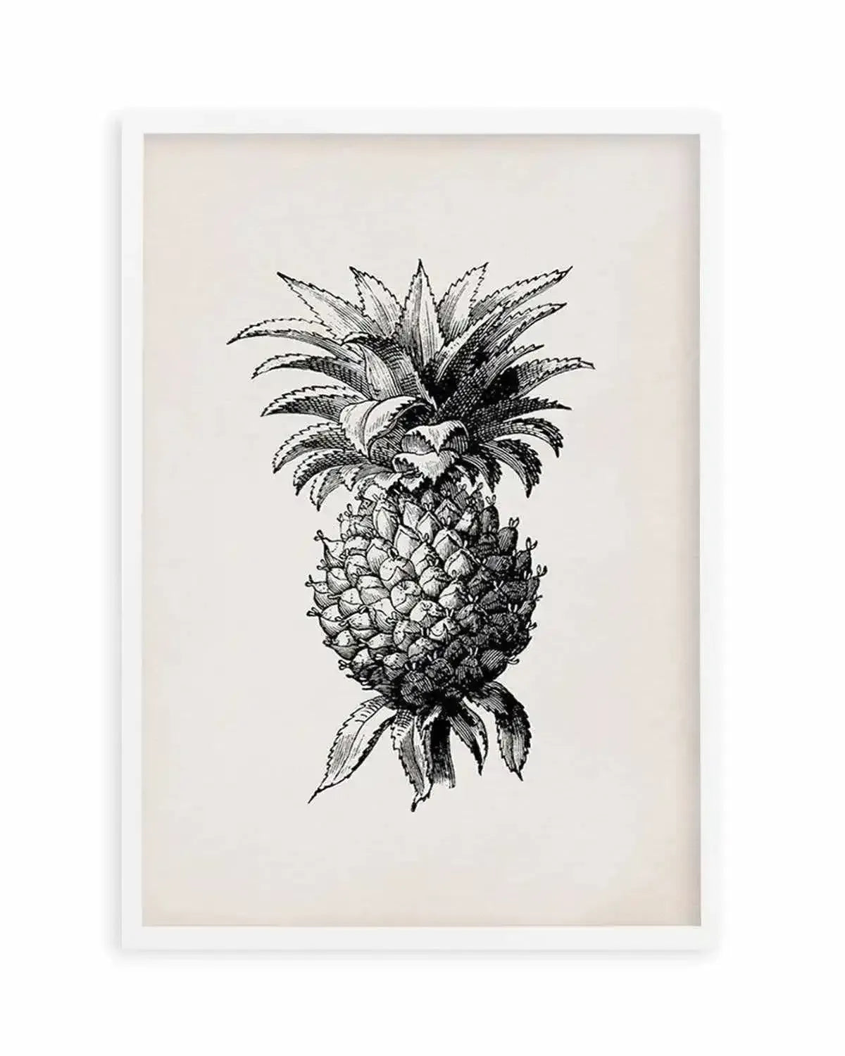 Pineapple Illustration Art Print from Olive et Oriel where you can shop wallpaper and artworks online
