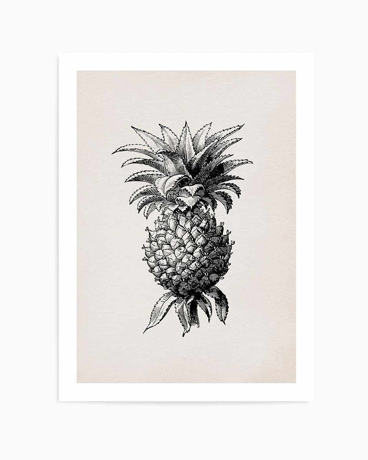 Pineapple Illustration Art Print