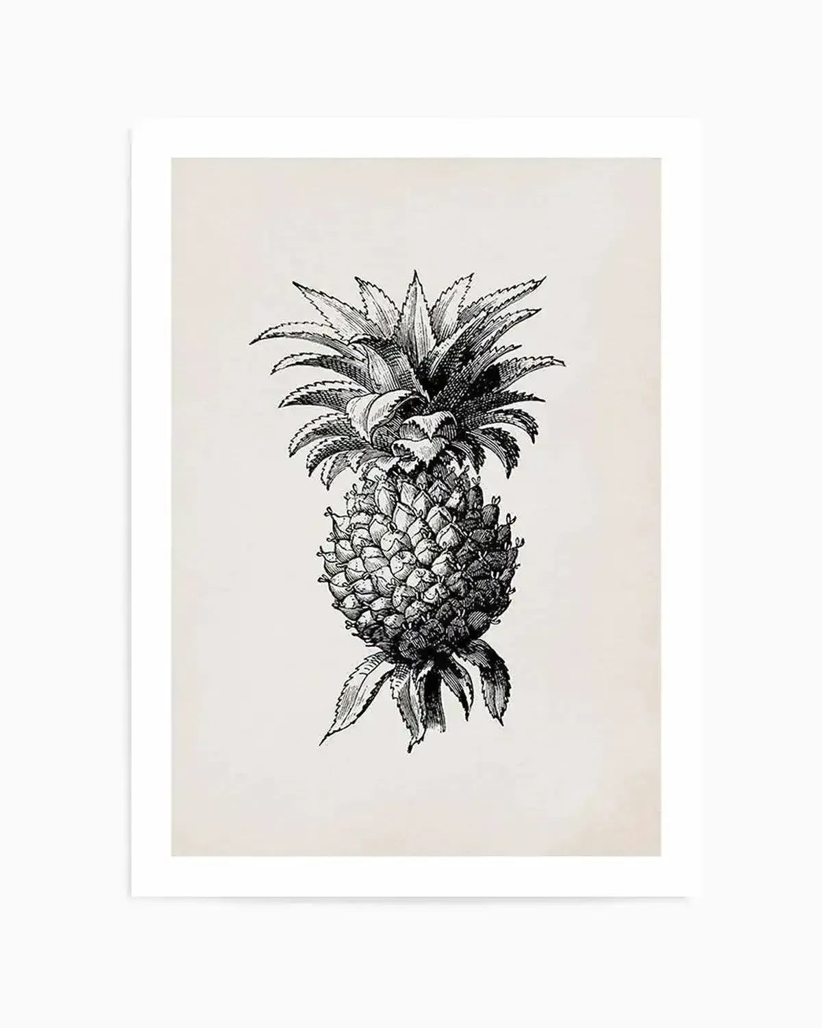 Pineapple Illustration Art Print from Olive et Oriel where you can shop wallpaper and artworks online