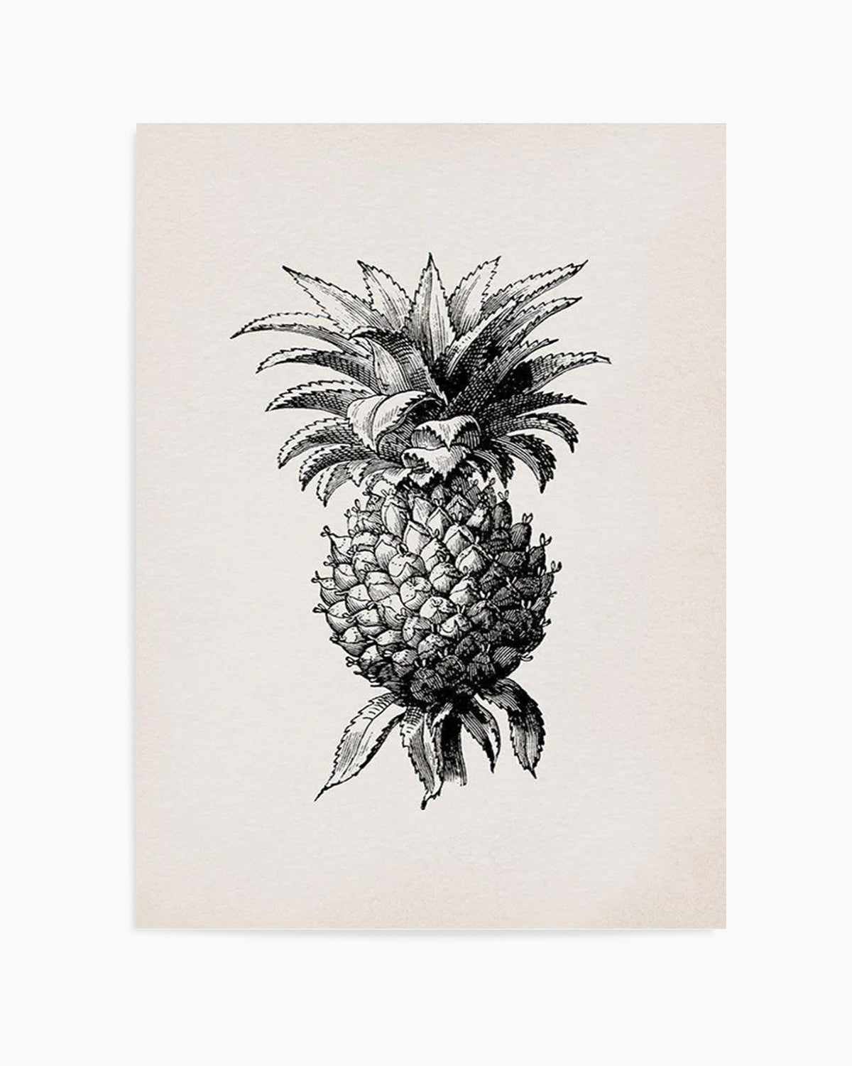 Pineapple Illustration Art Print