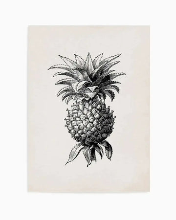 Art print featuring a detailed black and white illustration of a pineapple with a full crown of spiky leaves and textured fruit, rendered in a vintage botanical drawing style on a cream background.