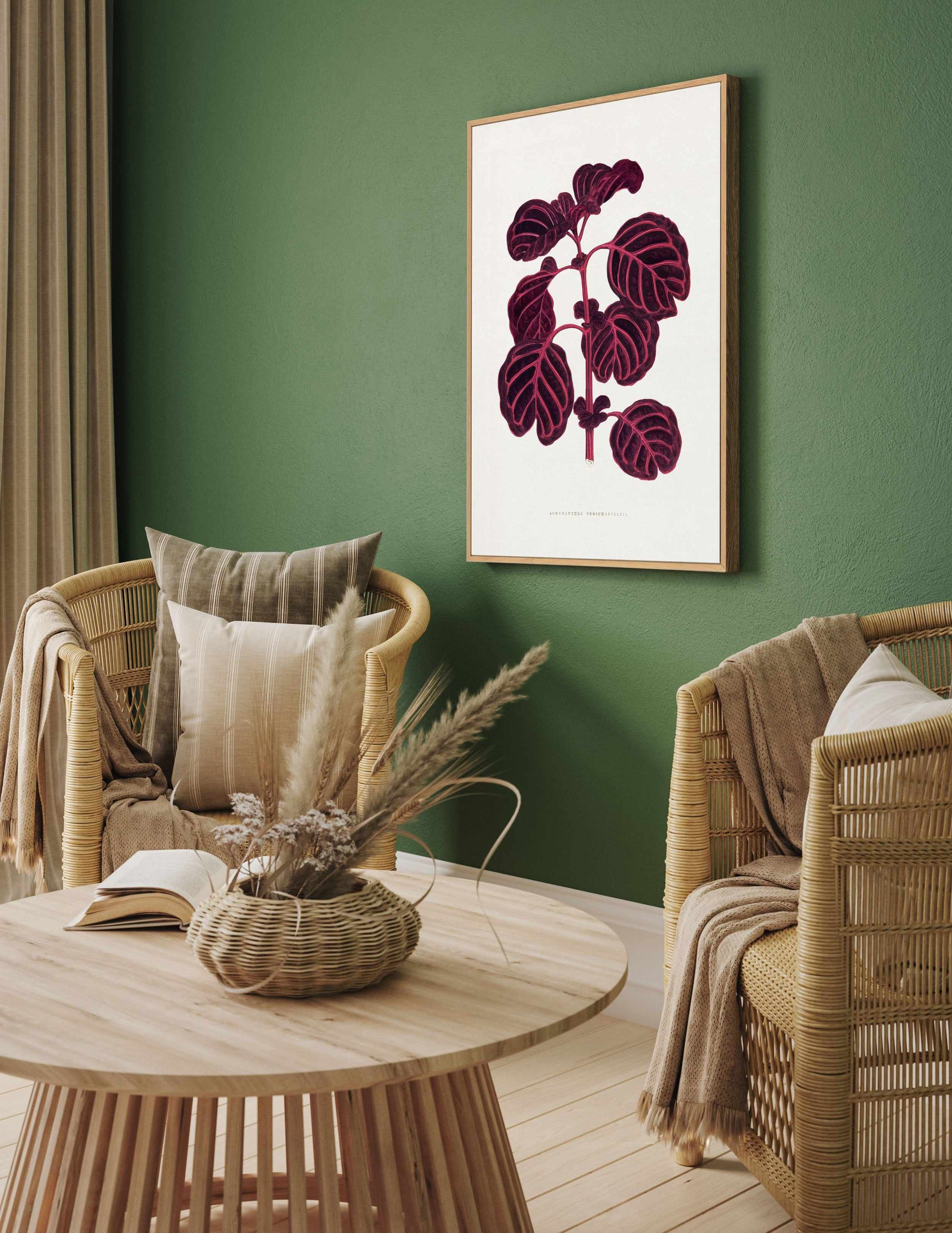 Pink Achyranthes Verschaffeltii Leaf Illustratio By Les Plantes | Framed Canvas Art Print from Olive et Oriel where you can shop wallpaper and artworks online