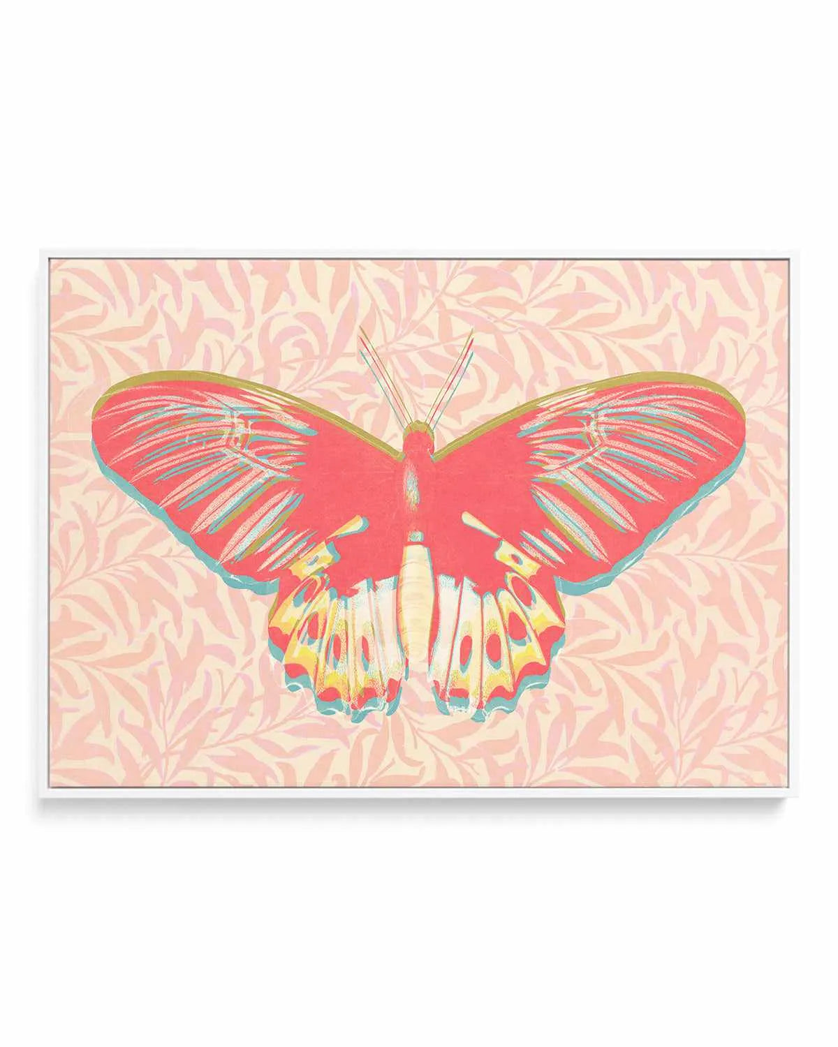 Pink Butterfly | Framed Canvas Art Print from Olive et Oriel where you can shop wallpaper and artworks online