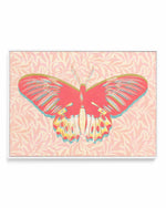 Pink Butterfly | Framed Canvas Art Print