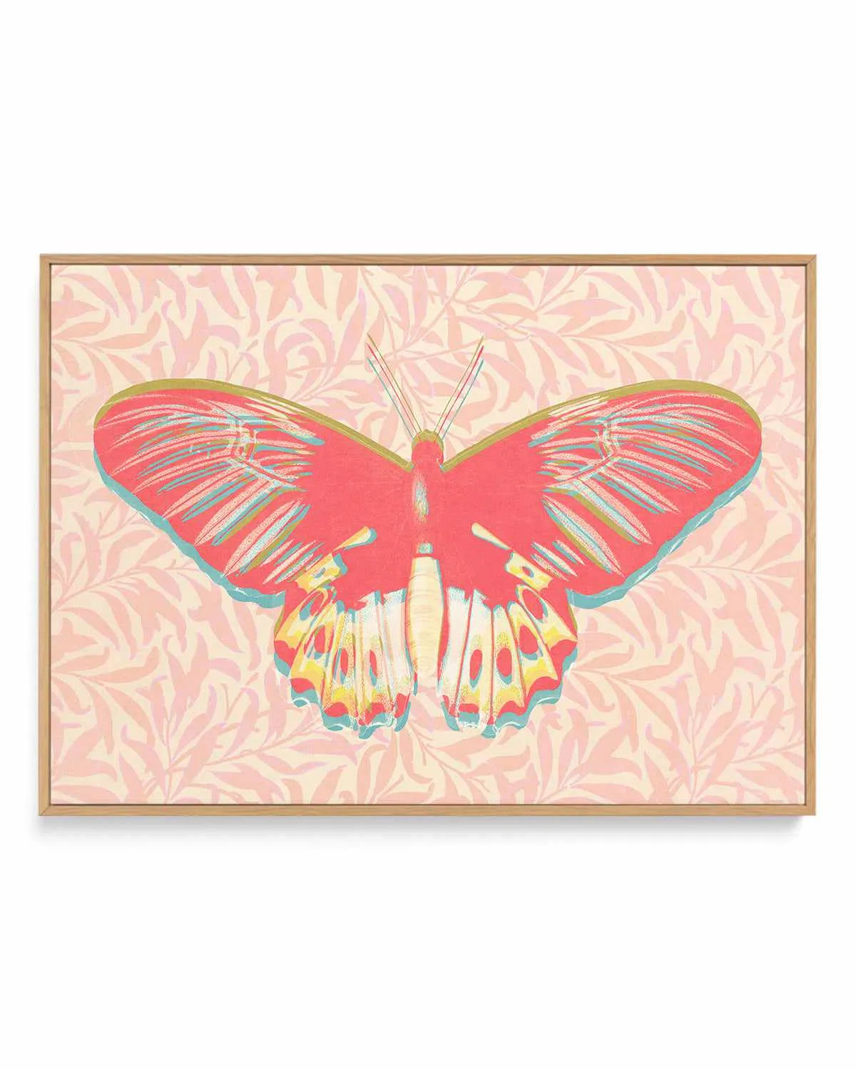Pink Butterfly | Framed Canvas Art Print from Olive et Oriel where you can shop wallpaper and artworks online
