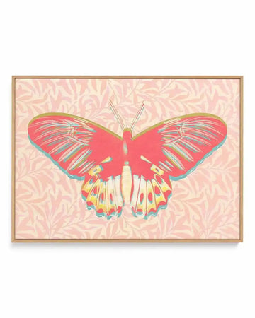 Pink Butterfly | Framed Canvas Art Print from Olive et Oriel where you can shop wallpaper and artworks online
