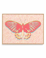 Pink Butterfly | Framed Canvas Art Print